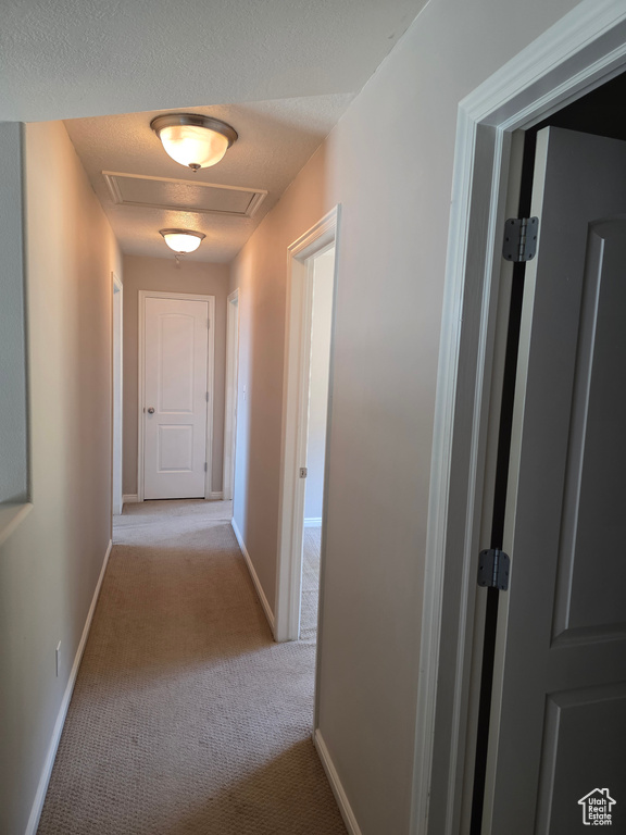 Photo 27 for MLS #2104353 at 10456 N Morgan Blvd