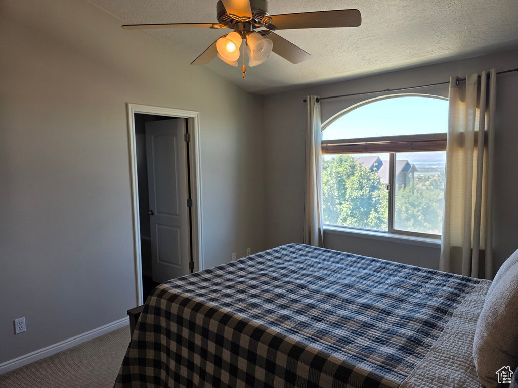 Photo 37 for MLS #2104353 at 10456 N Morgan Blvd