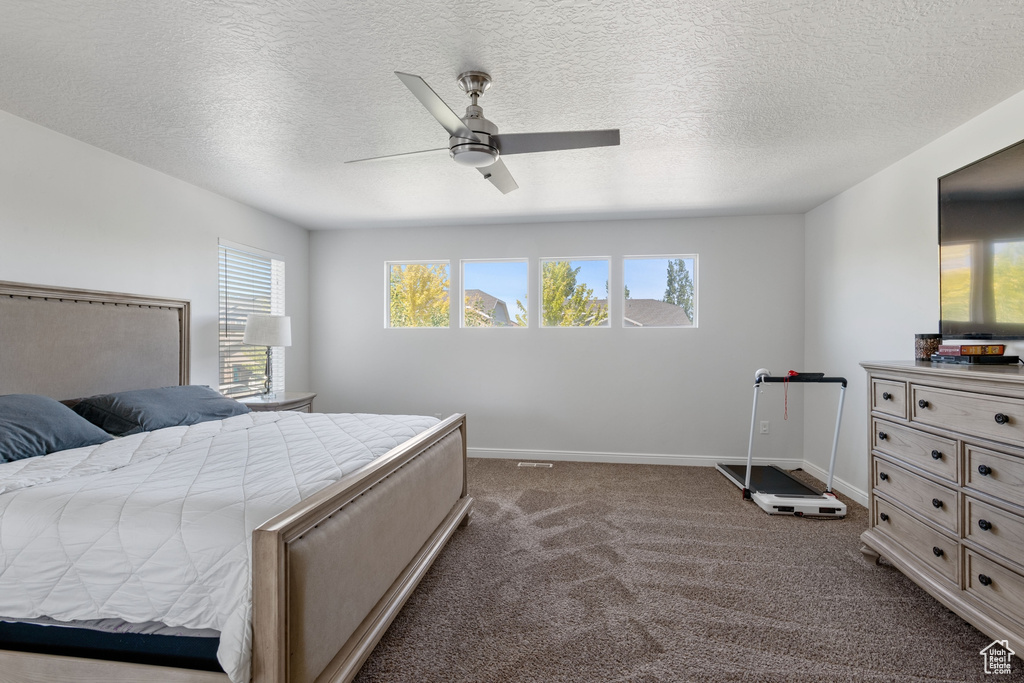 Photo 19 for MLS #2104395 at 5453 Anfield Way