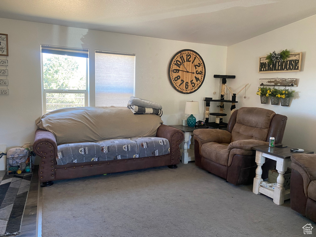 33432 W 8000 S Duchesne, UT 84021