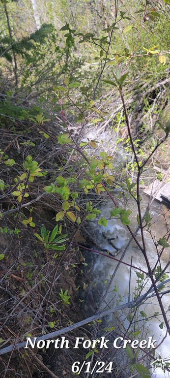 819  NORTH FORK RD Mt Pleasant, UT 84629