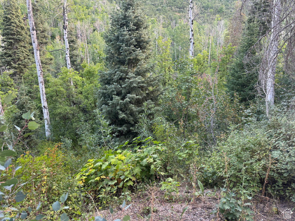 819  NORTH FORK RD Mt Pleasant, UT 84629