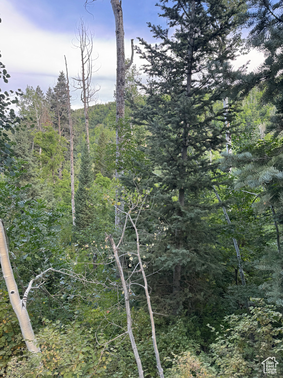 819  NORTH FORK RD Mt Pleasant, UT 84629