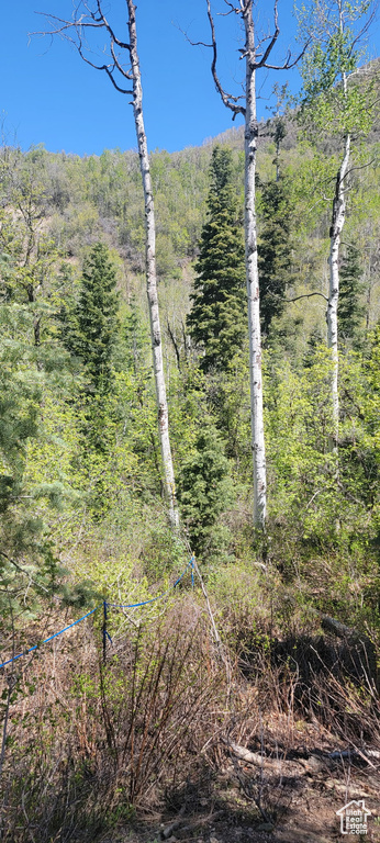 819  NORTH FORK RD Mt Pleasant, UT 84629