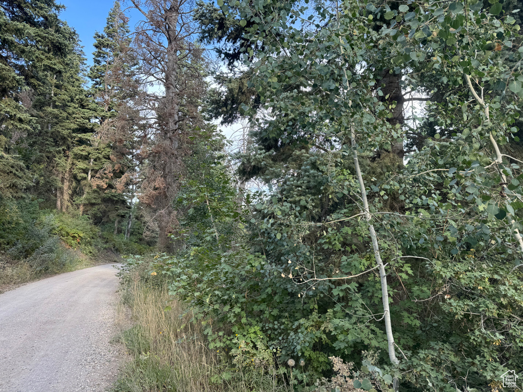 819  NORTH FORK RD Mt Pleasant, UT 84629