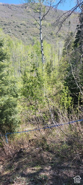 819  NORTH FORK RD Mt Pleasant, UT 84629