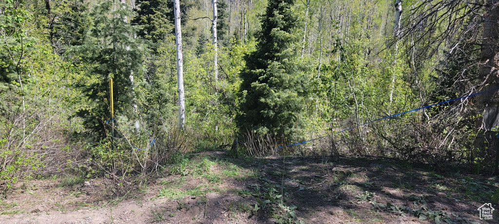 819  NORTH FORK RD Mt Pleasant, UT 84629