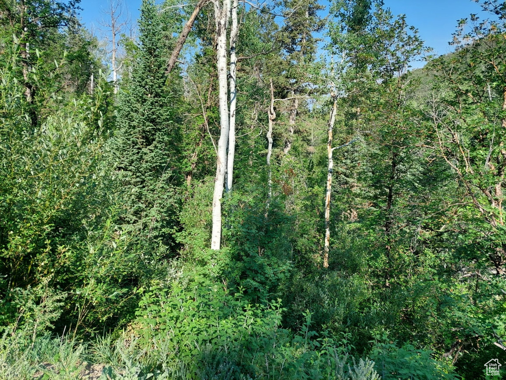 819  NORTH FORK RD Mt Pleasant, UT 84629