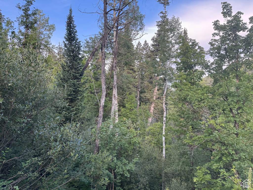 819  NORTH FORK RD Mt Pleasant, UT 84629