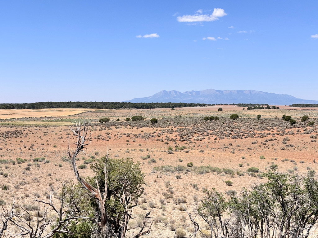 1000 N COUNTY ROAD 314 Monticello, UT 84535