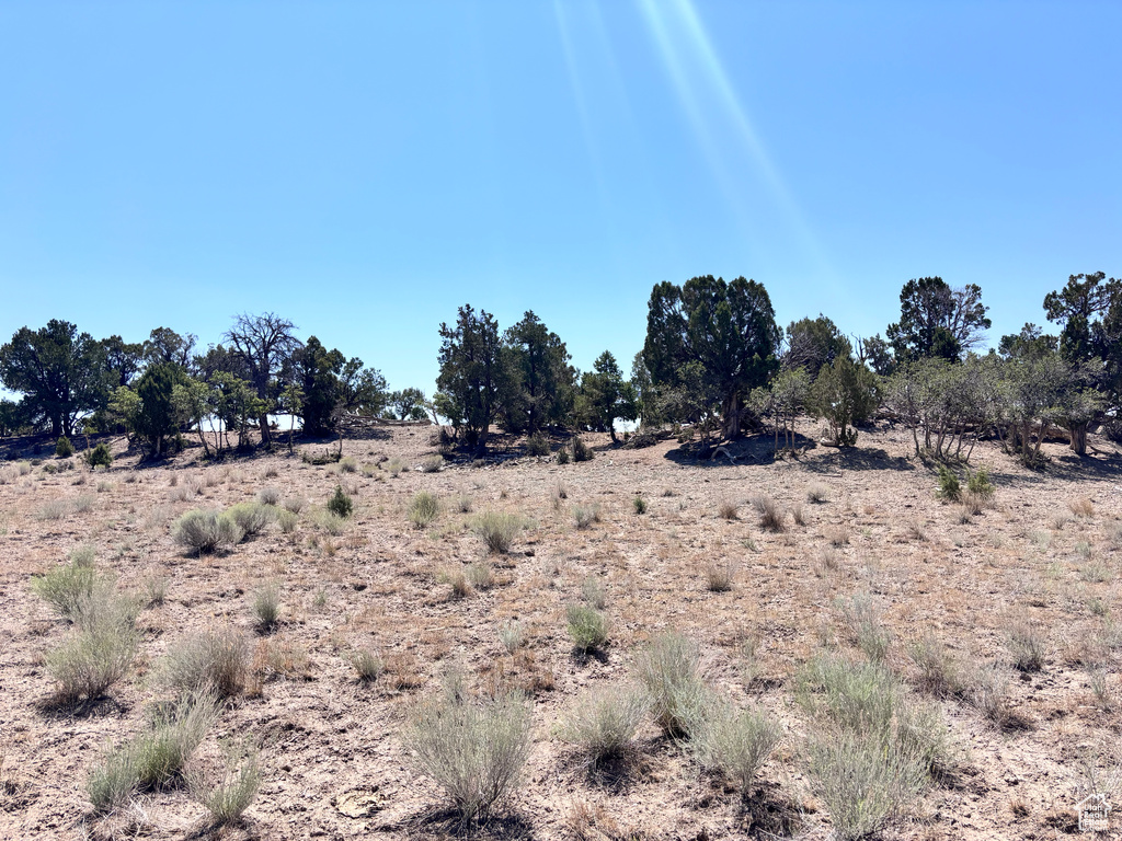 1000 N COUNTY ROAD 314 Monticello, UT 84535