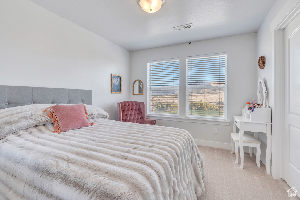 16284 S COUPLER LN Bluffdale, UT 84065