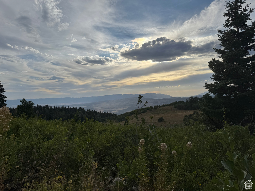 32  J CHOKECHERRY DR Fairview, UT 84629