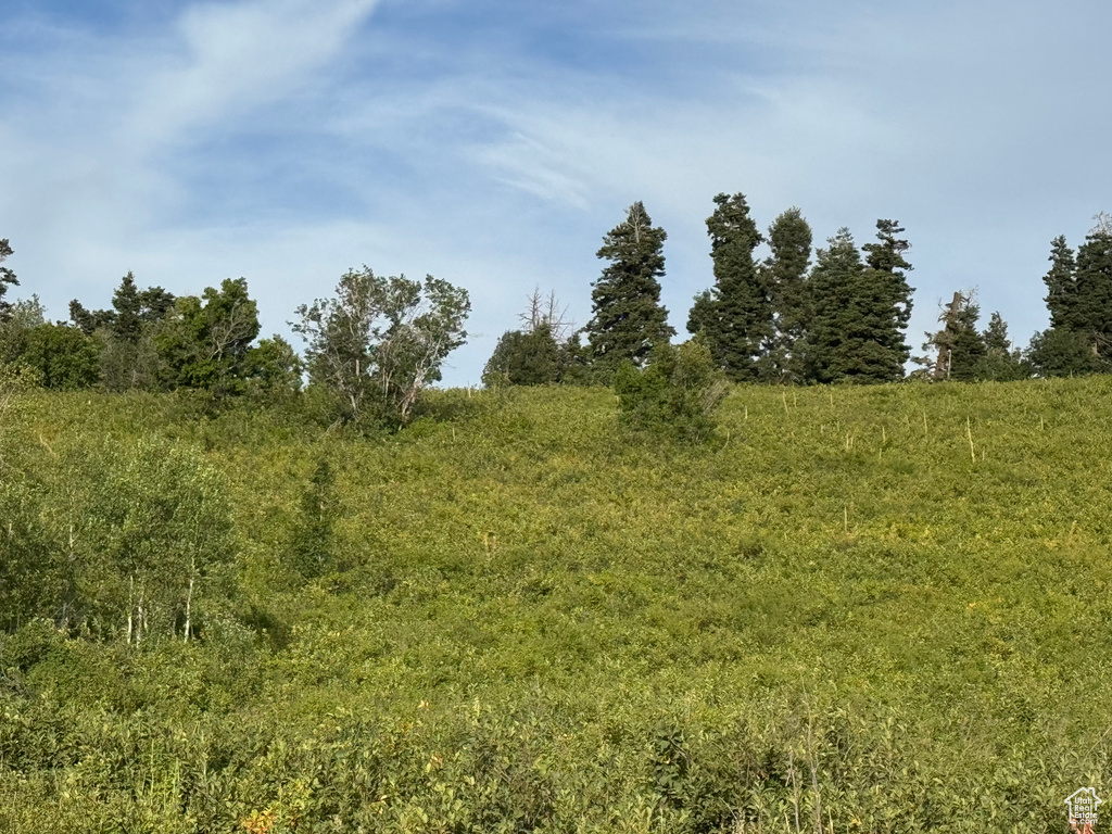 32  J CHOKECHERRY DR Fairview, UT 84629