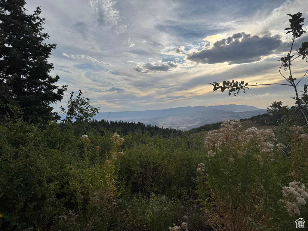 32  J CHOKECHERRY DR Fairview, UT 84629