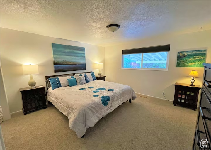 Photo 14 for MLS #2104616 at 10499 S Carnation Dr