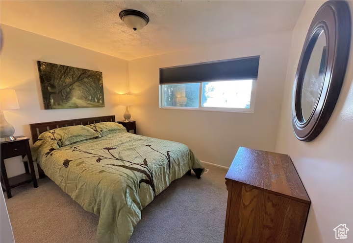 Photo 11 for MLS #2104616 at 10499 S Carnation Dr