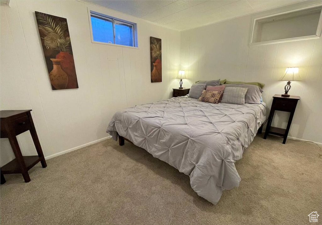 Photo 18 for MLS #2104616 at 10499 S Carnation Dr