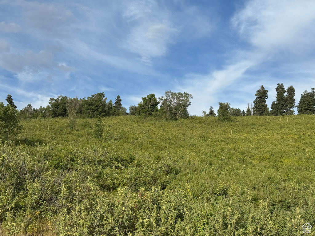 33  J CHOKECHERRY DR Fairview, UT 84629