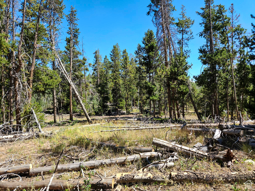 5559  FOREST DR Kamas, UT 84036