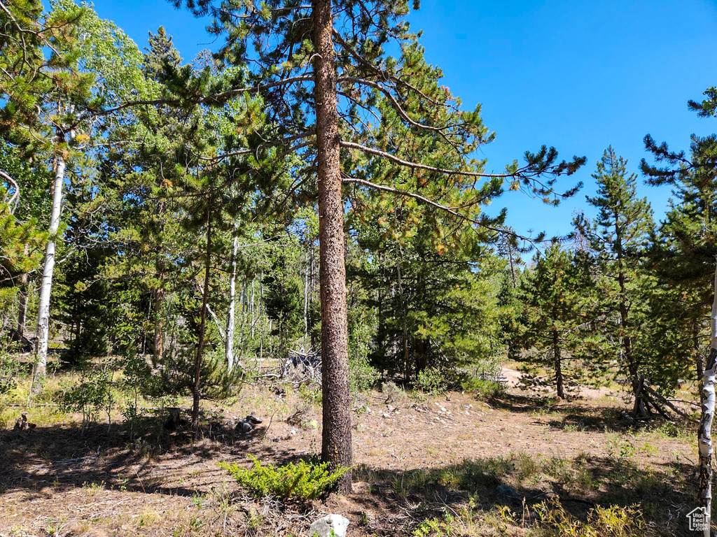 5559  FOREST DR Kamas, UT 84036