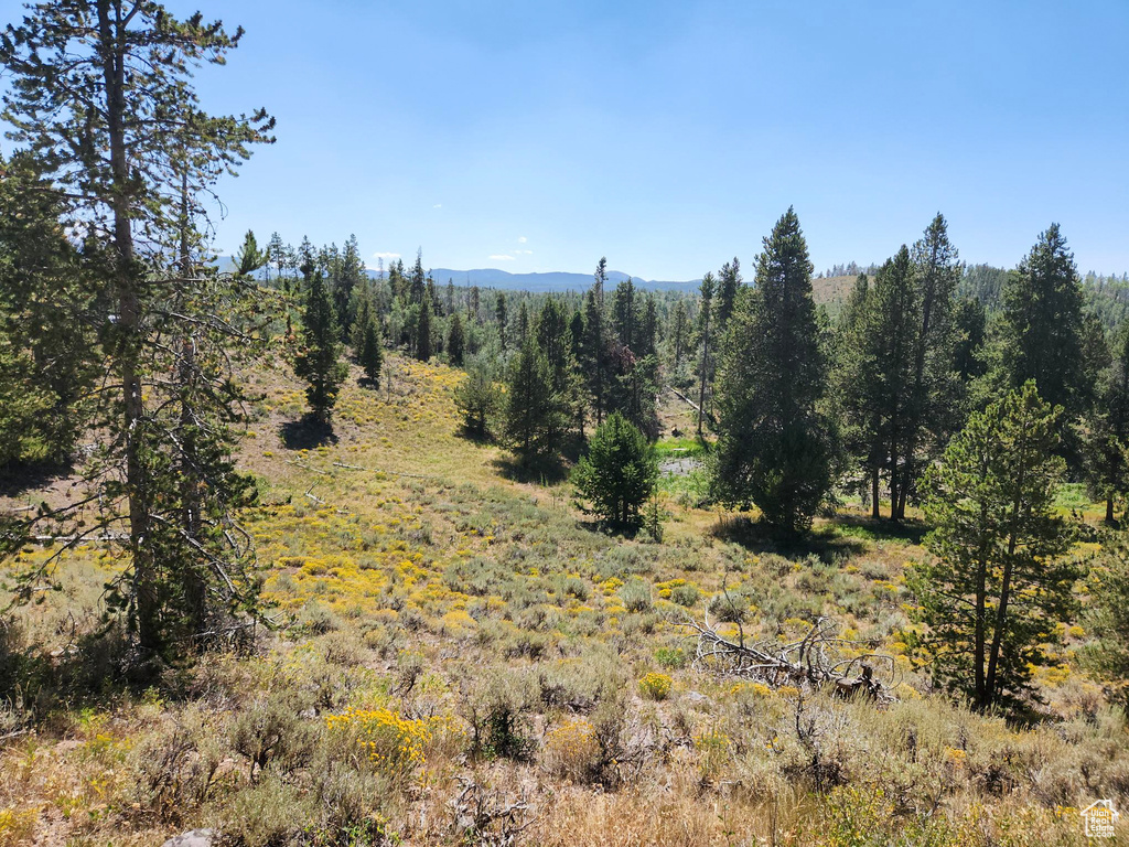 5559  FOREST DR Kamas, UT 84036