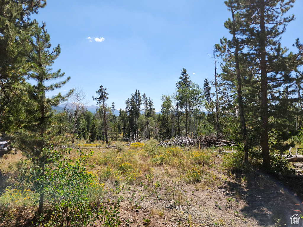 5559  FOREST DR Kamas, UT 84036