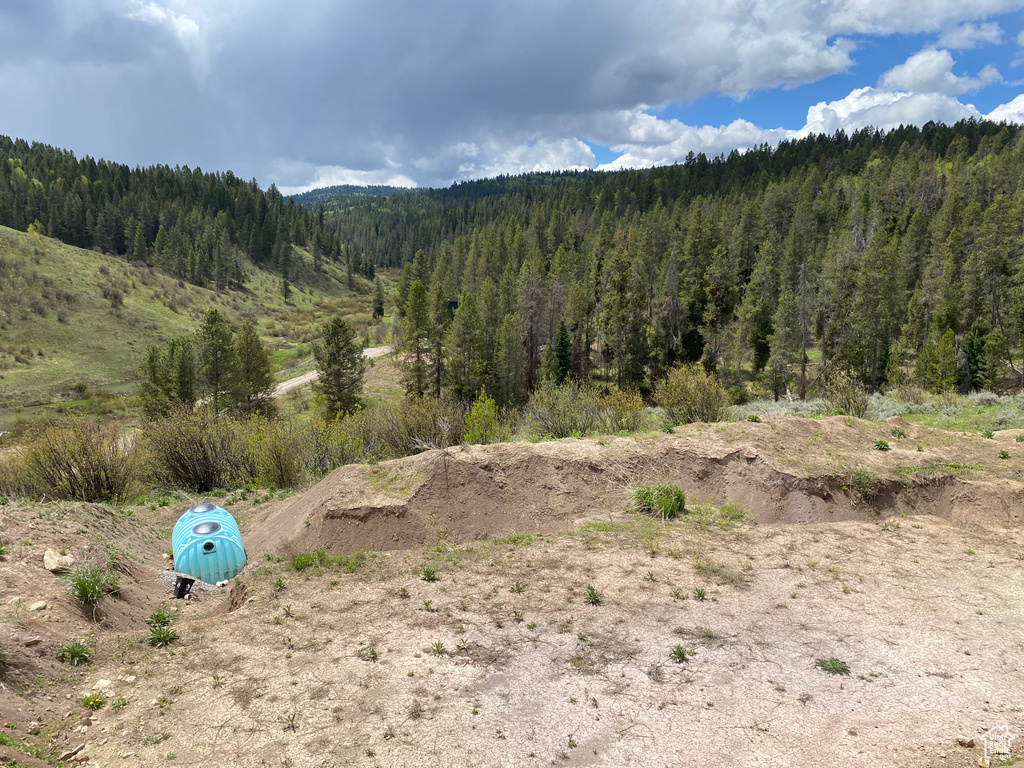 41  GROUSE LOOP RD Freedom, WY 83120