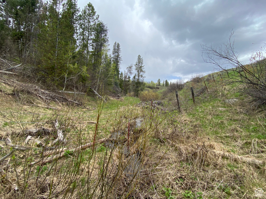 41  GROUSE LOOP RD Freedom, WY 83120