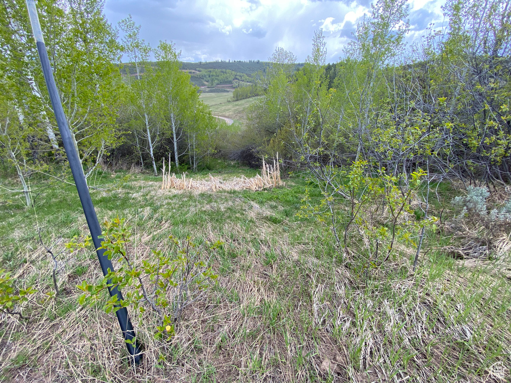 41  GROUSE LOOP RD Freedom, WY 83120