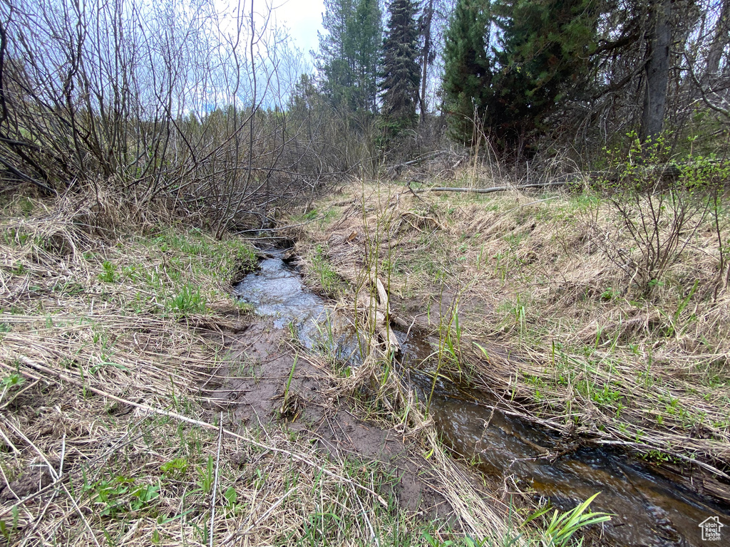 41  GROUSE LOOP RD Freedom, WY 83120