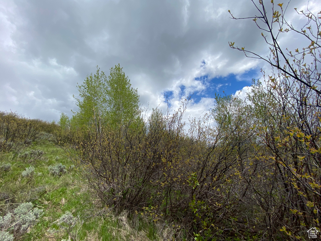 41  GROUSE LOOP RD Freedom, WY 83120