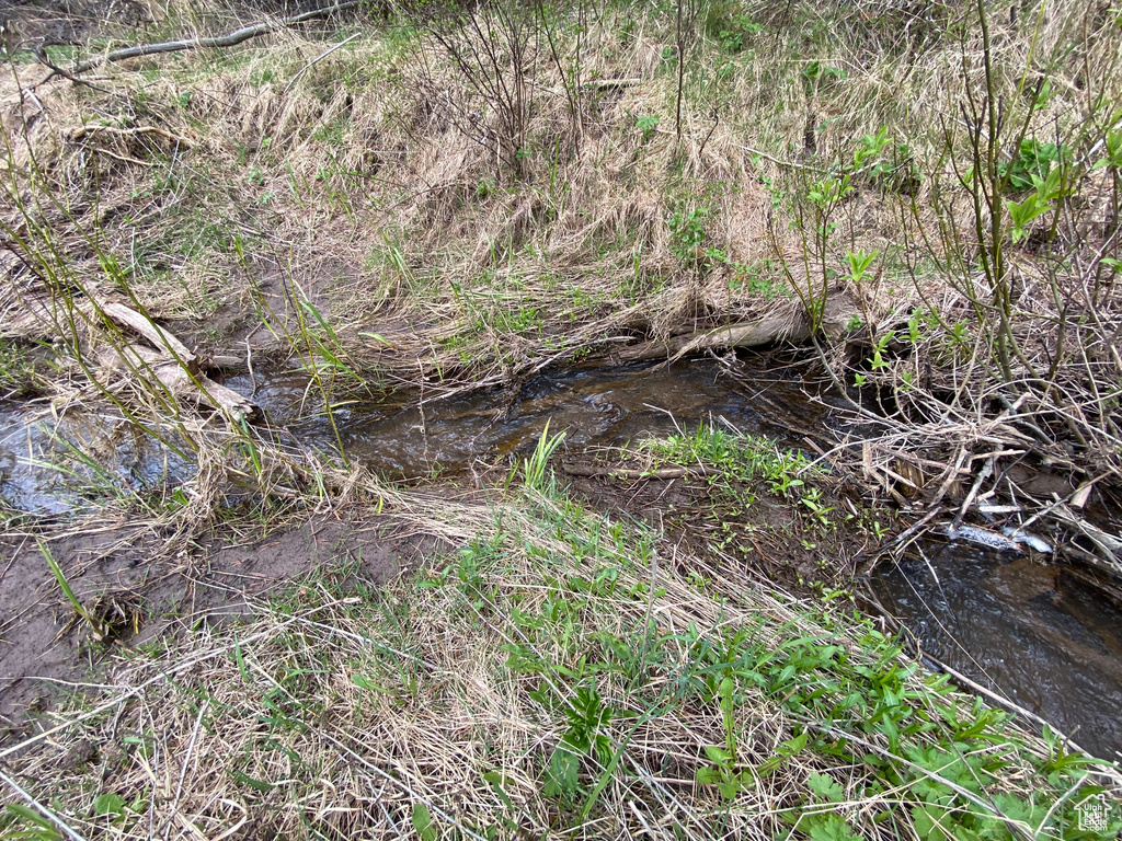 41  GROUSE LOOP RD Freedom, WY 83120