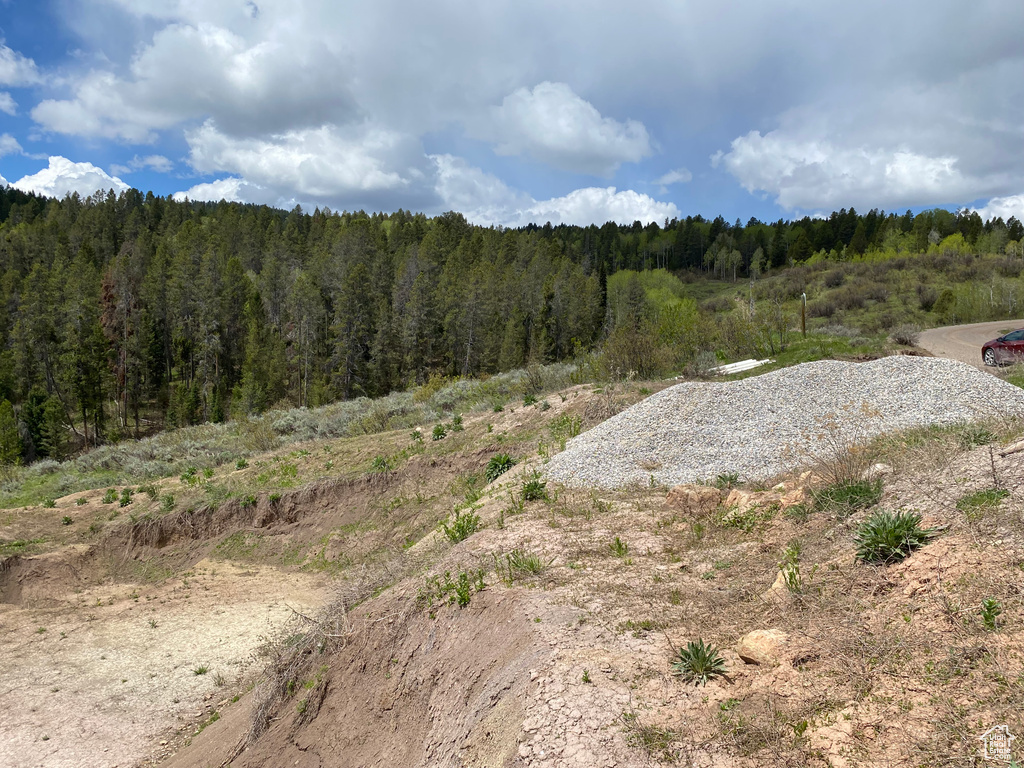 41  GROUSE LOOP RD Freedom, WY 83120