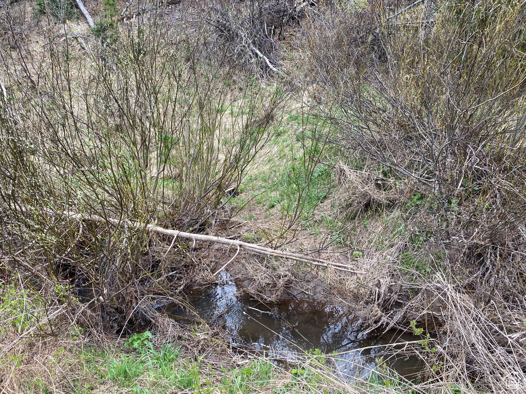 41  GROUSE LOOP RD Freedom, WY 83120