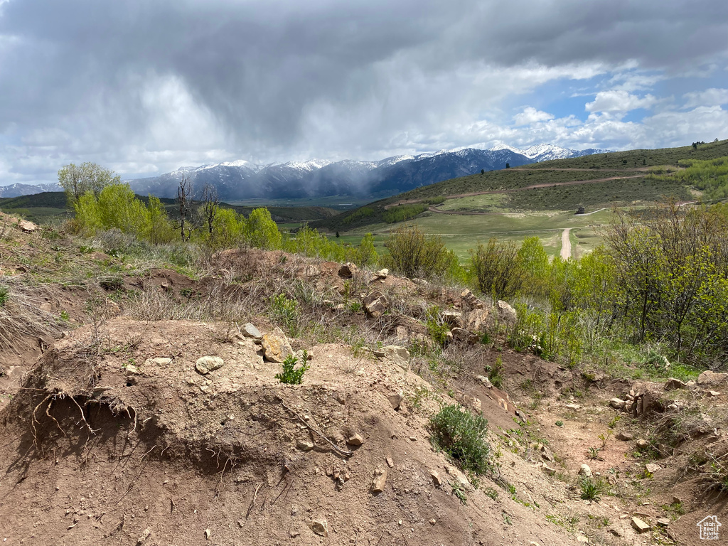 41  GROUSE LOOP RD Freedom, WY 83120