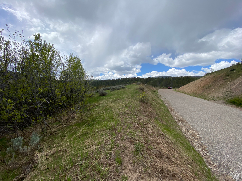 41  GROUSE LOOP RD Freedom, WY 83120