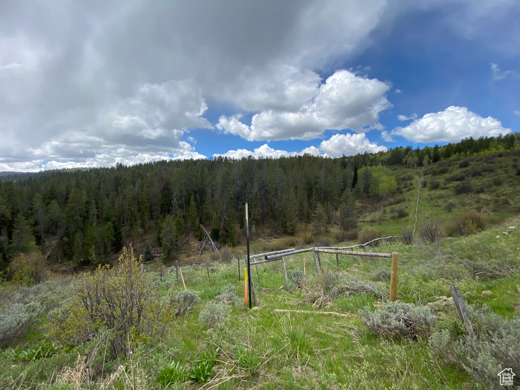 41  GROUSE LOOP RD Freedom, WY 83120