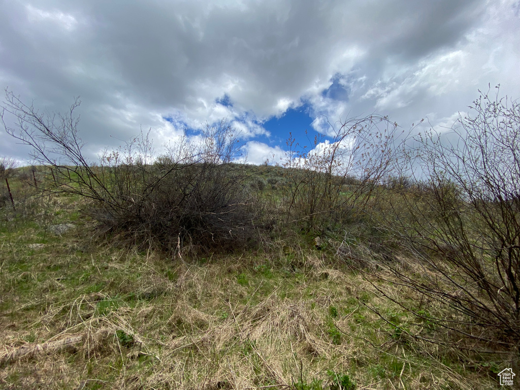 41  GROUSE LOOP RD Freedom, WY 83120