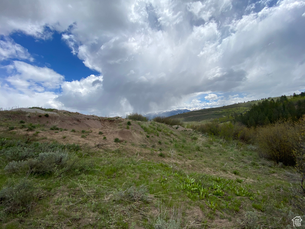 41  GROUSE LOOP RD Freedom, WY 83120