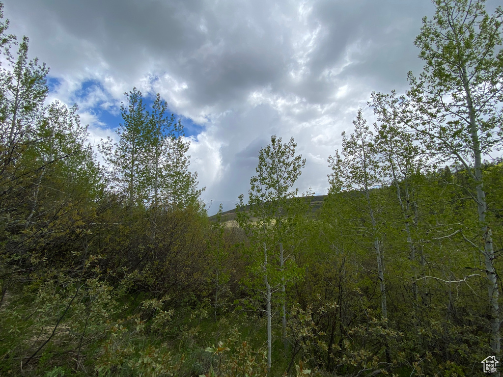 41  GROUSE LOOP RD Freedom, WY 83120