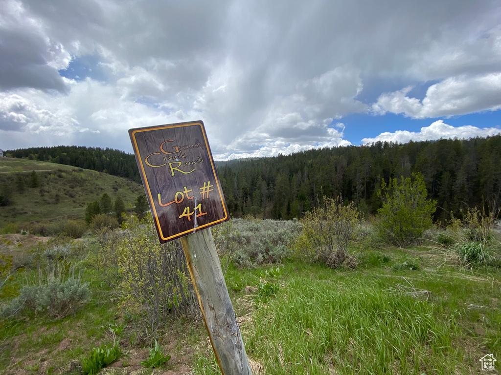 41  GROUSE LOOP RD Freedom, WY 83120