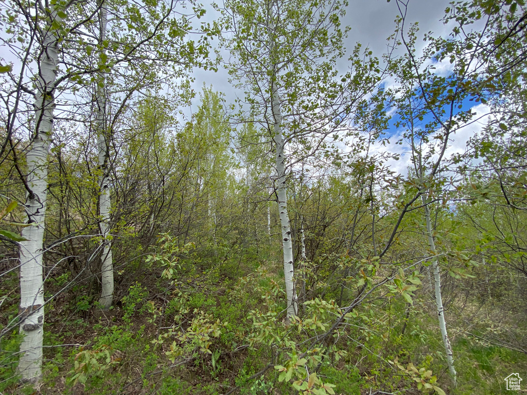 41  GROUSE LOOP RD Freedom, WY 83120