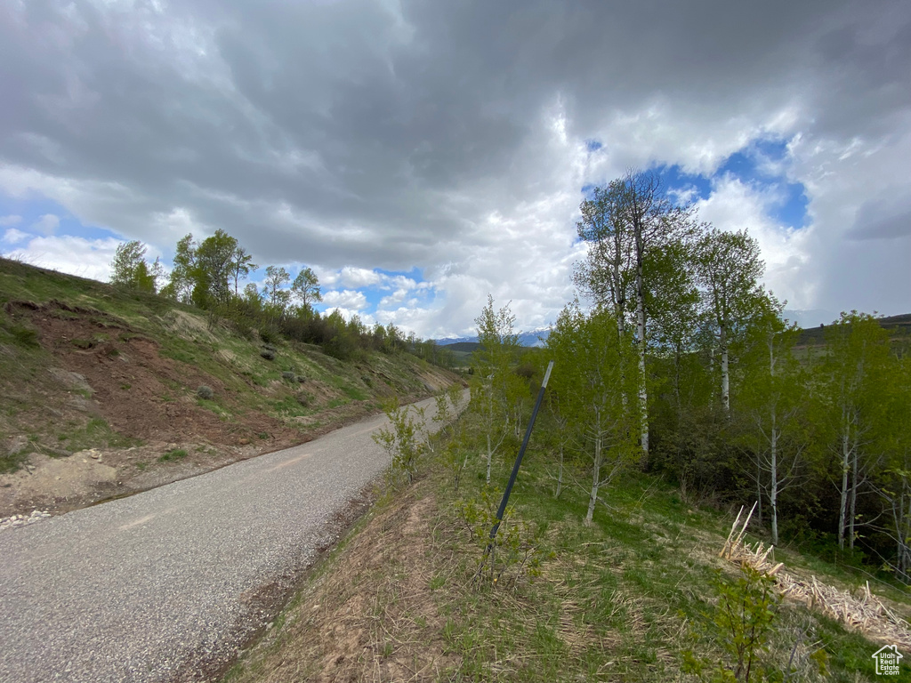 41  GROUSE LOOP RD Freedom, WY 83120