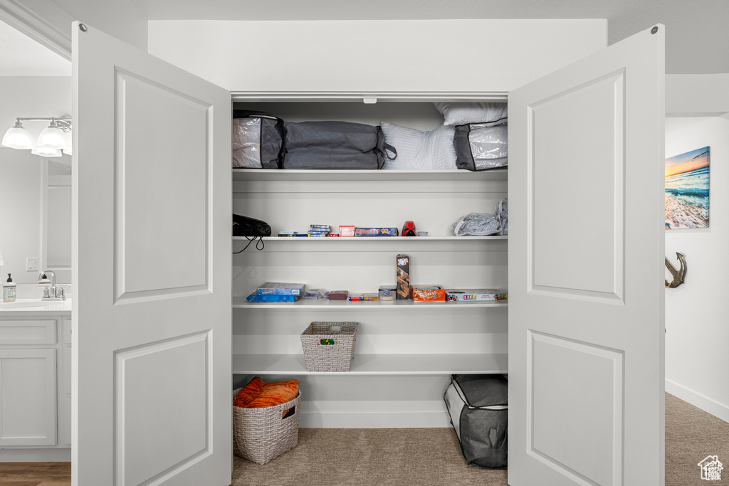 Closet featuring a sink