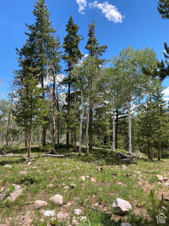 2840  MONVISO TRL Kamas, UT 84036