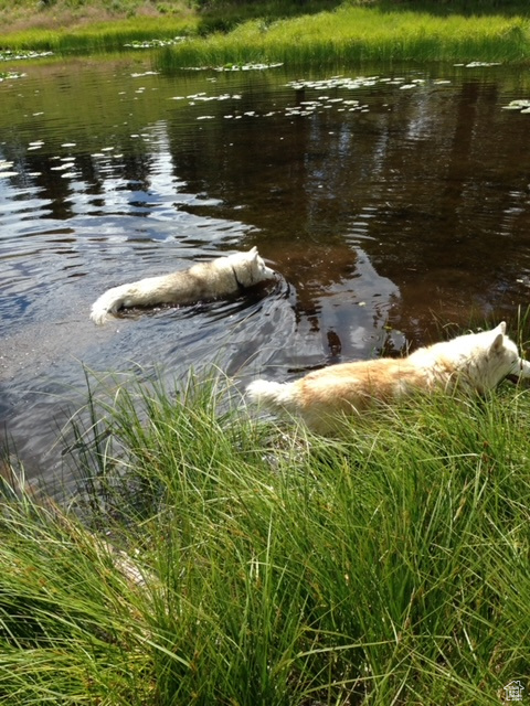 2840  MONVISO TRL Kamas, UT 84036