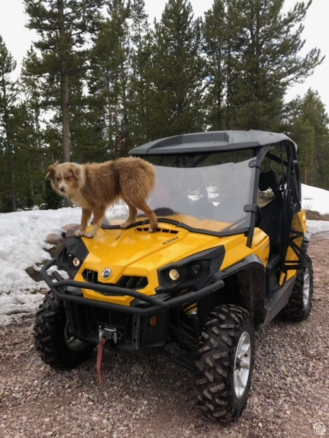 2840  MONVISO TRL Kamas, UT 84036