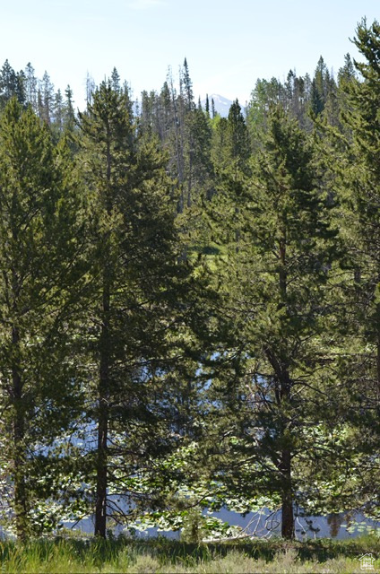 2840  MONVISO TRL Kamas, UT 84036