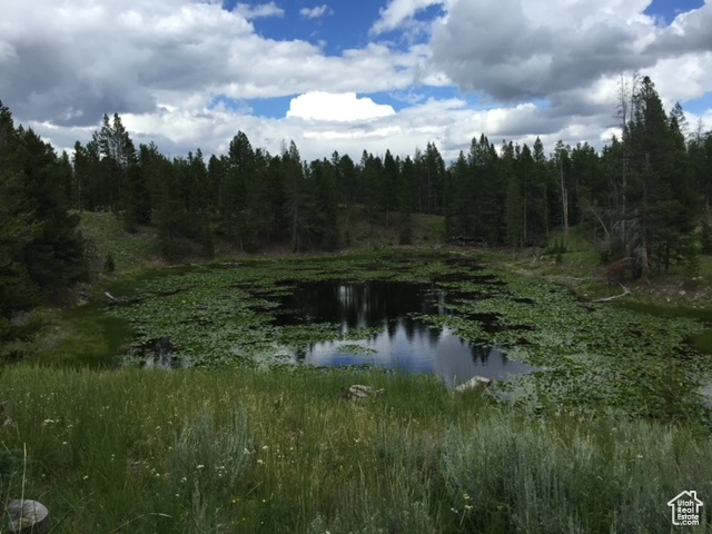 2840  MONVISO TRL Kamas, UT 84036